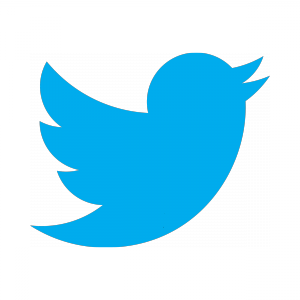 Twitter_bird_logo