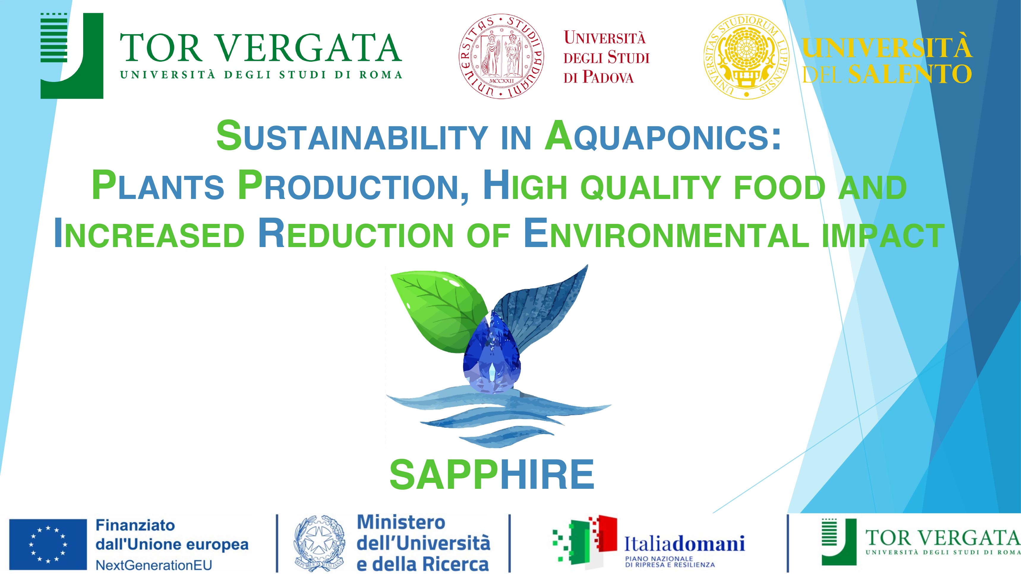 Presentazione SAPPHIRE