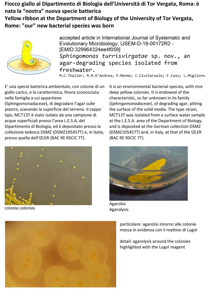 Fiocco giallo al Dipartimento di Biologia dell